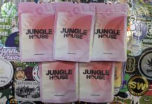 Jungle House, fleurs 2025 !