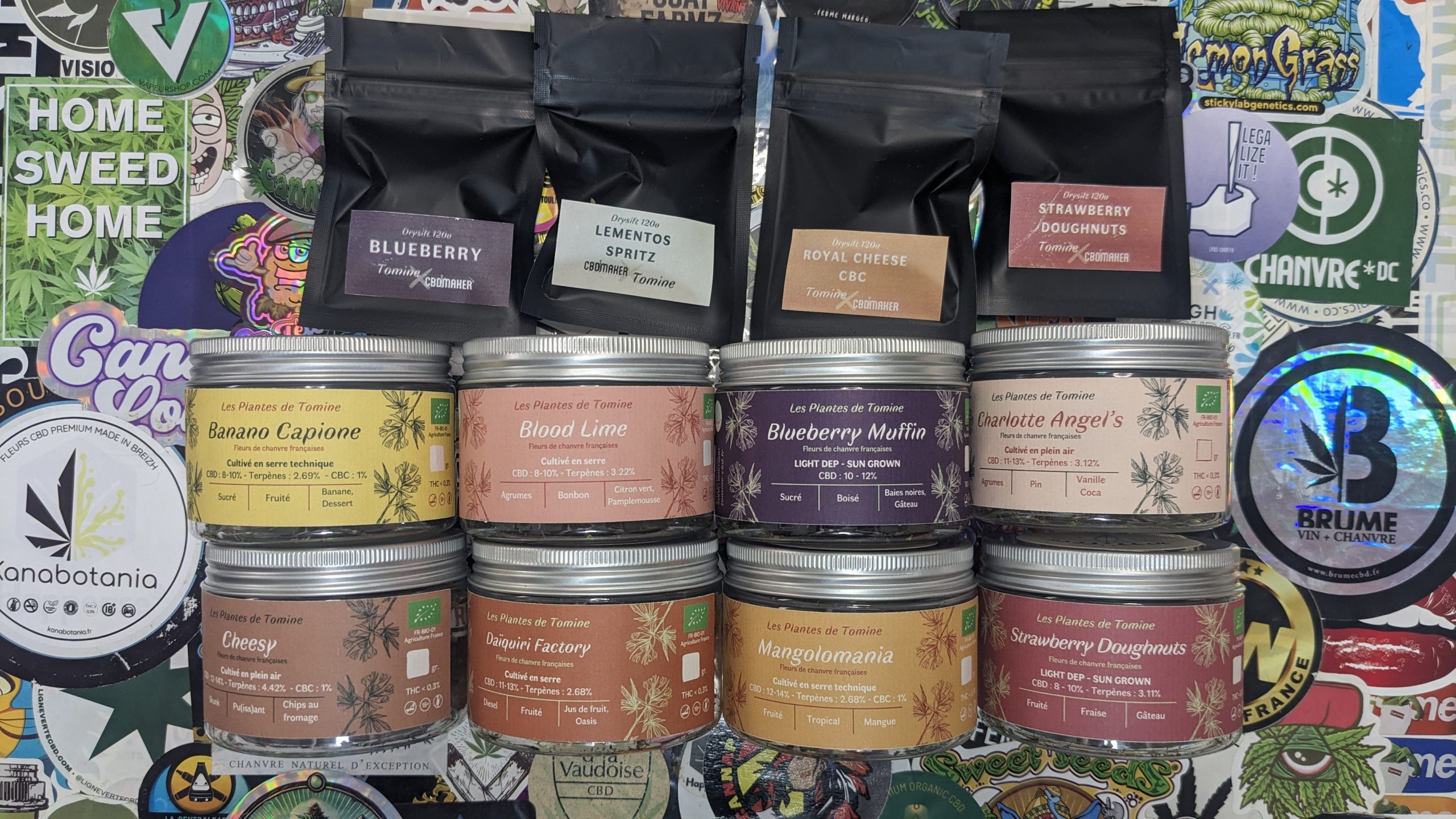 Les Plantes de Tomine - Fleurs 2025 - Testeur de CBD (120)