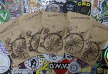 Les nouvelles variétés du Chanvre du Coin !