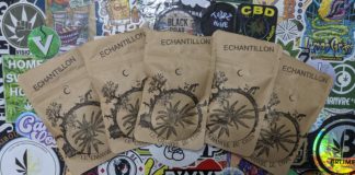 Les nouvelles variétés du Chanvre du Coin !