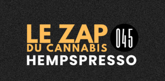 Hempspresso 045 | Le Zap du Canna