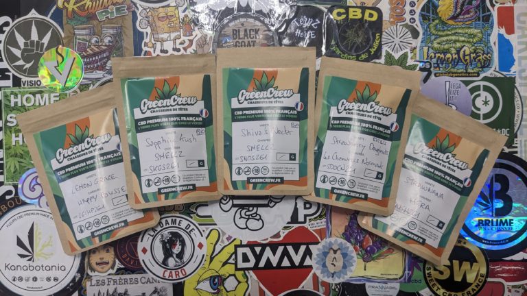 Découverte des fleurs du Green Crew !