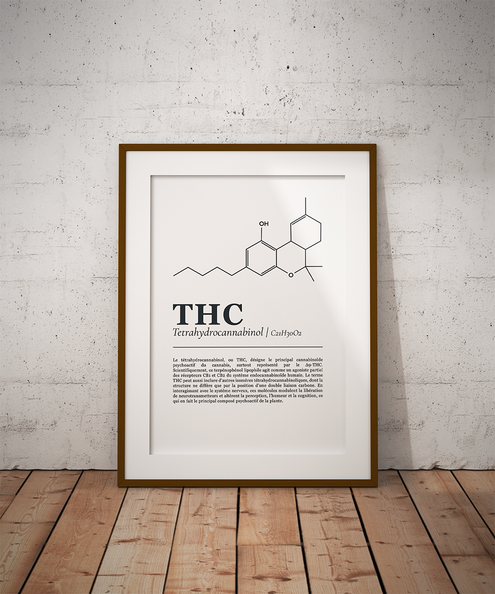 Planche cannabinoïdes : Le THC