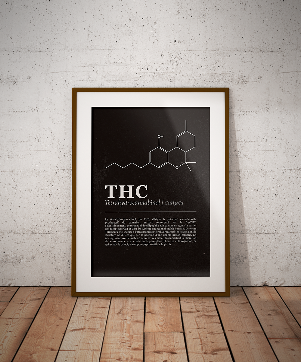 Planche cannabinoïdes : Le THC