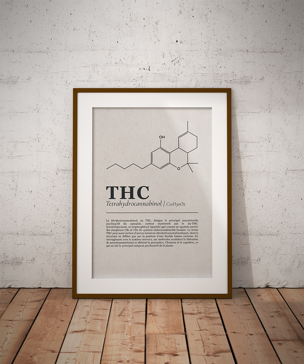 Planche cannabinoïdes : Le THC