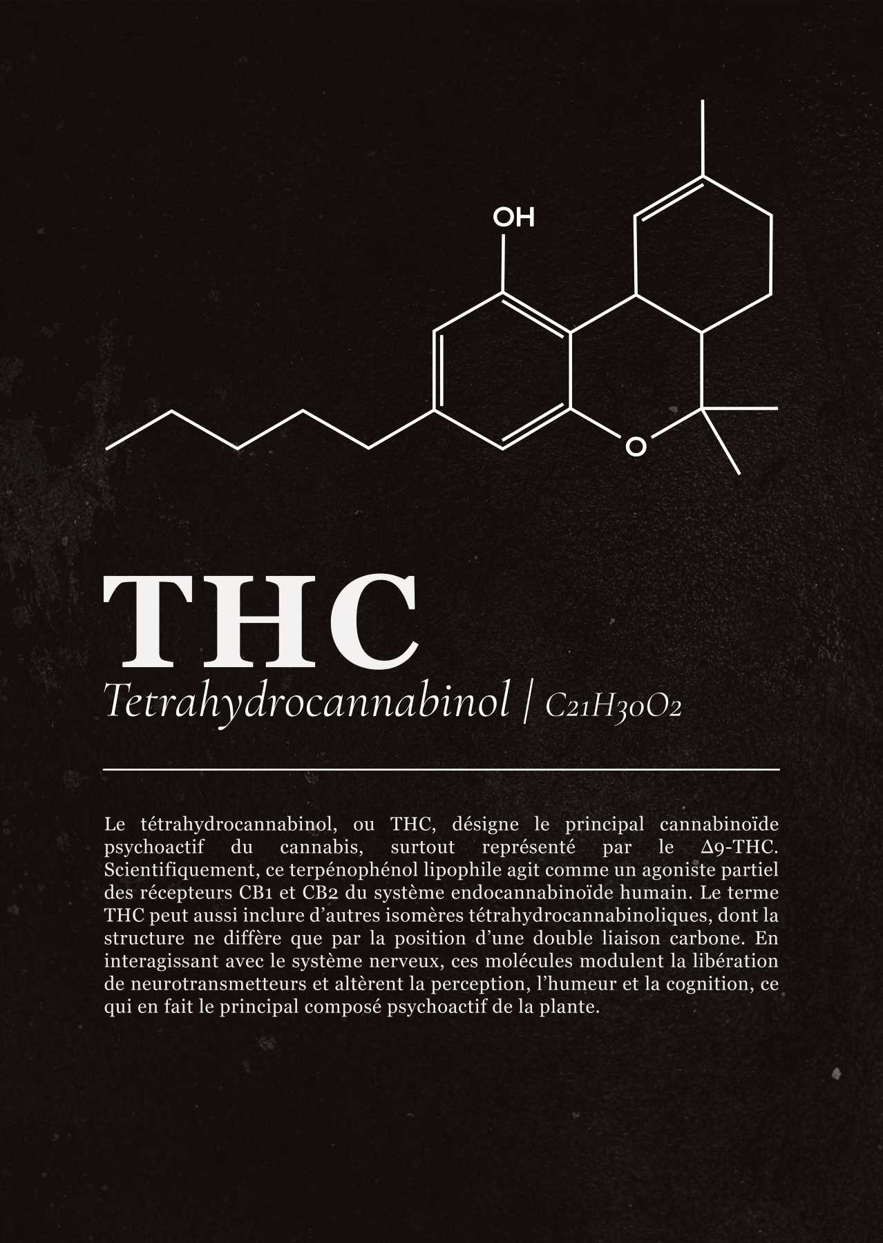 Planche cannabinoïdes : Le THC