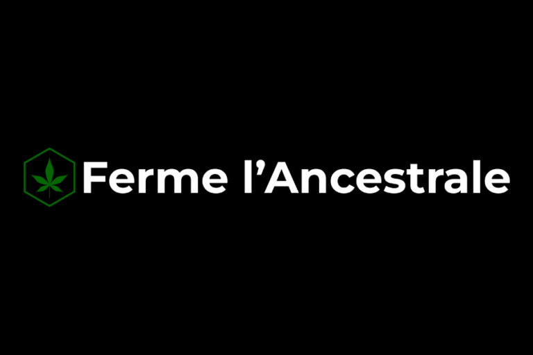 Culture en syntropie chez Ferme l&rsquo;Ancestrale !