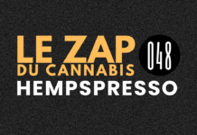 Hempspresso 048 | Le Zap du Canna