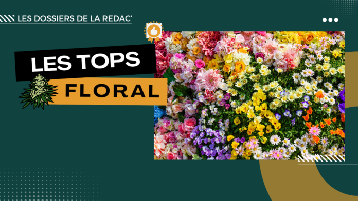 Top cbd floral - Cover - Testeur de CBD