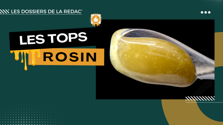 Les meilleures rosin CBD
