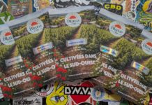 5 nouvelles variétés signées Blato CBD !