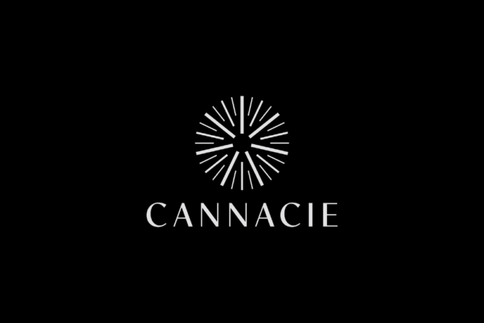 Cover - Cannacie - Oldan - Testeur de CBD