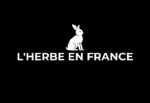Herbe en France – Fiche Technique et Avis