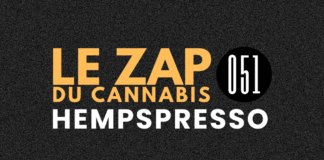 Hempspresso 051 | Le Zap du Canna