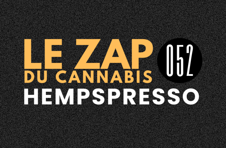 Hempspresso 052 | Le Zap du Canna