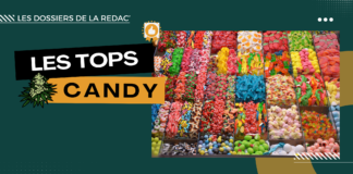 Les meilleures candy CBD