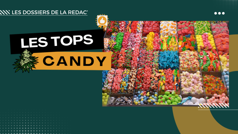 Les meilleures candy CBD