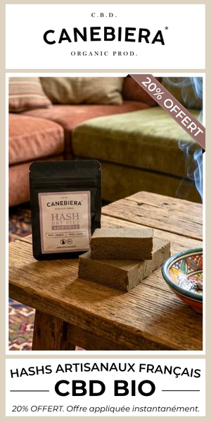 Canebiera Hash BIO 300 x 600