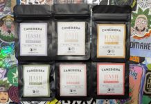 6 résines signées Canebiera !