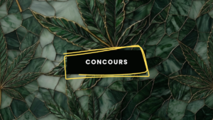 Concours - Image à la une