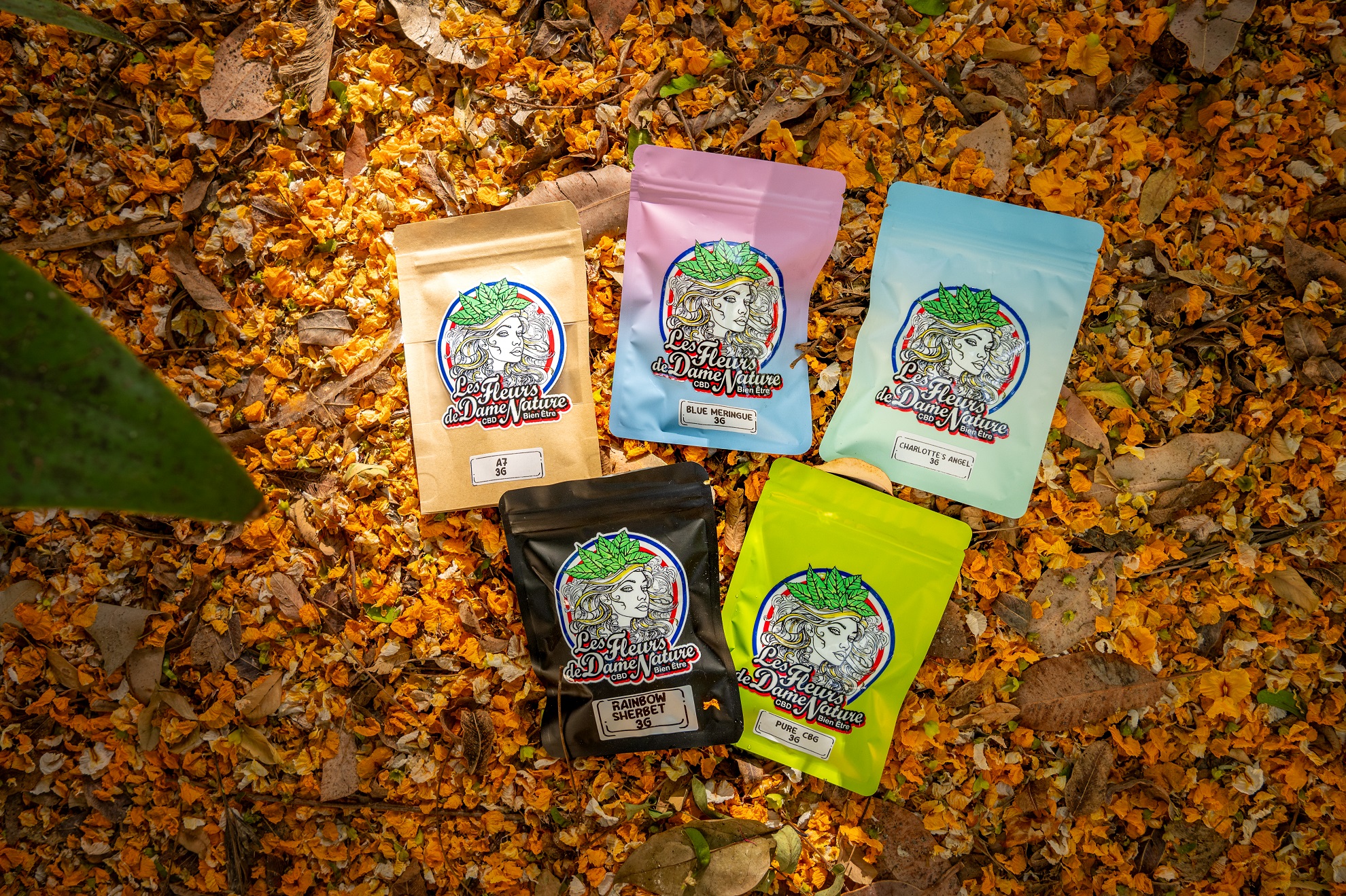 Cover - Les Fleurs de Dame Nature - Testeur de CBD