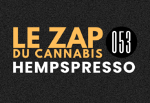 Hempspresso 053 | Le Zap du Canna
