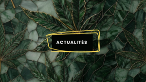 Actualités - Image à la une