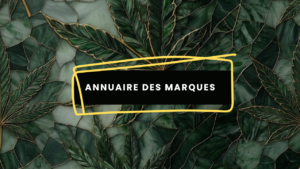 Annuaire des marques - Image à la une