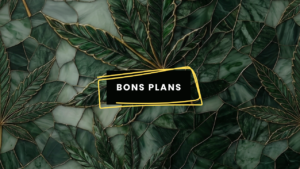 Bons Plans - Image à la une