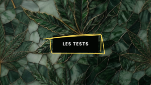 Les tests - Image à la une