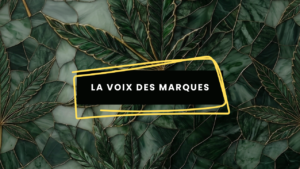 La Voix des Marques - Image à la une