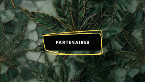 Partenaires - Image à la une