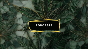 Podcasts - Image à la une