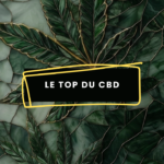LE TOP DU CBD Top du cbd - Image à la une