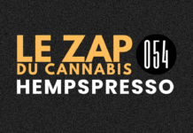Hempspresso 54 | Le Zap du Canna